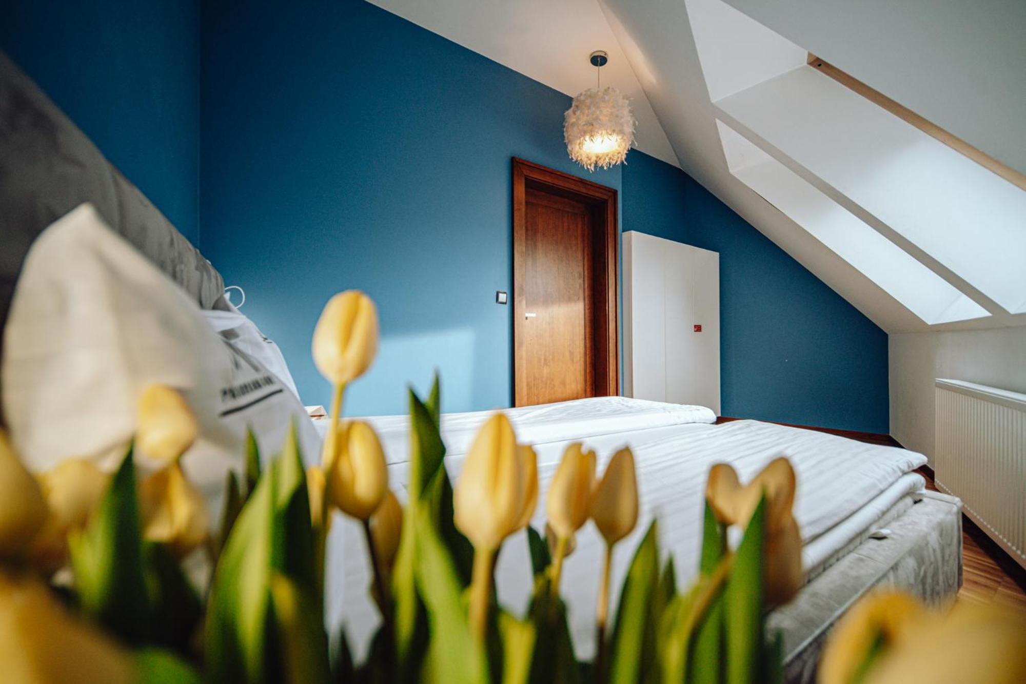 Apartamentowiec Panorama Gor City Center Family&Pet-Friendly شكلارسكا بوريبا المظهر الخارجي الصورة